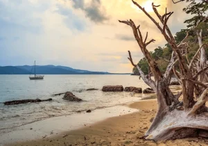 Chidiyatapu Beach in Andaman Islands