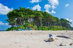 Laxmanpur Beach - Neil Island - Andaman