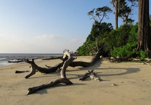 Wandoor beach Andaman Islands